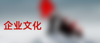 企業(yè)文化